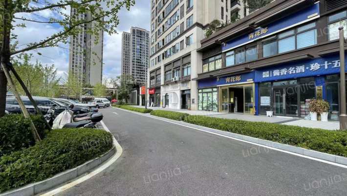 金茂观山湖A区(博雅)外景图