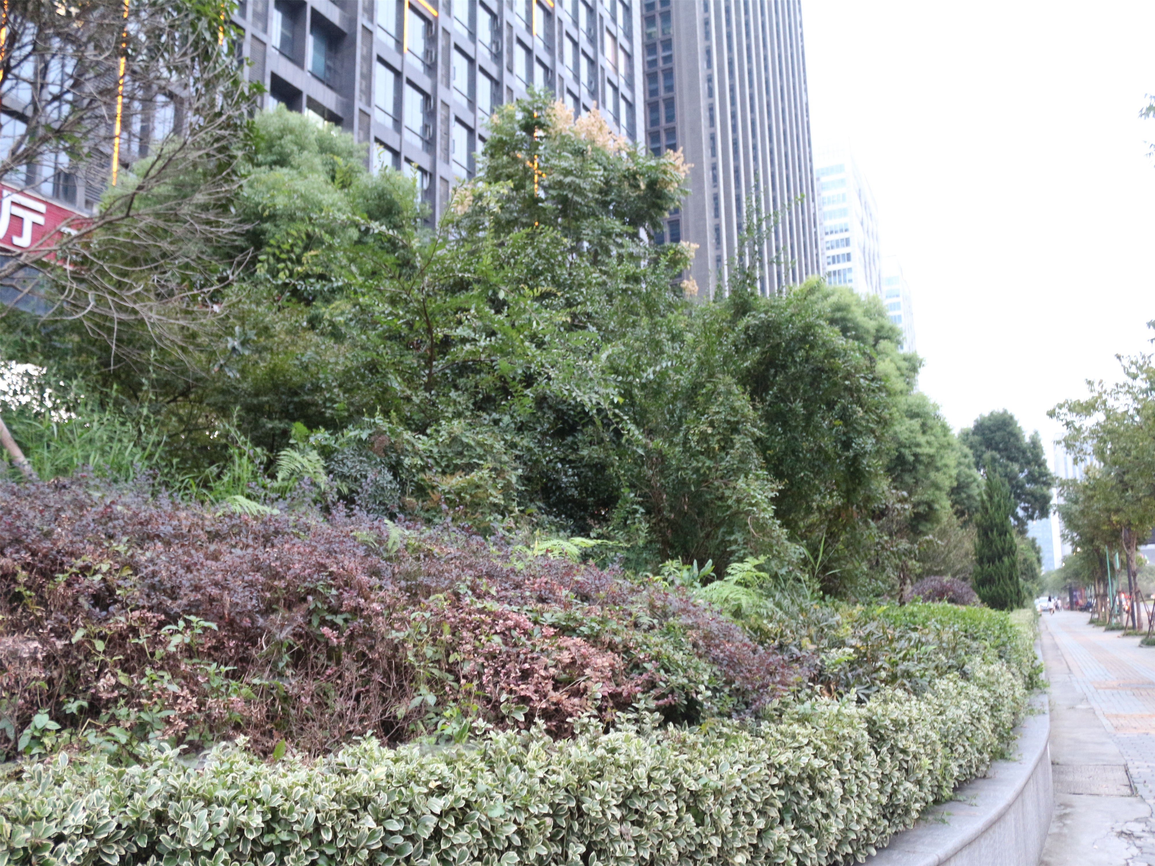 Qianlong Mansion compound photo 6
