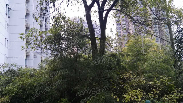 海光大楼外景图