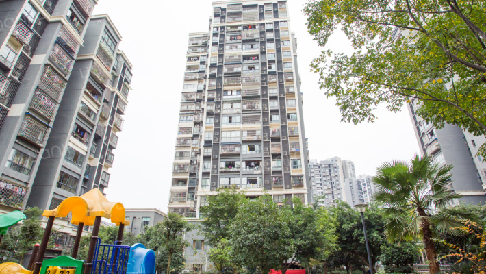 同茂怡洲外景图