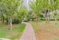 金色港湾双湖泊岸户型图实景图