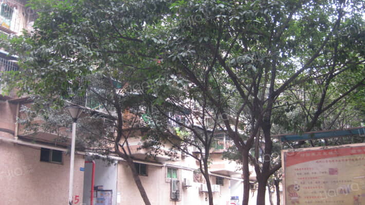 兰花小区六小区外景图