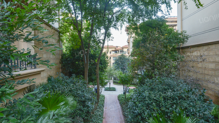 金科城37区外景图