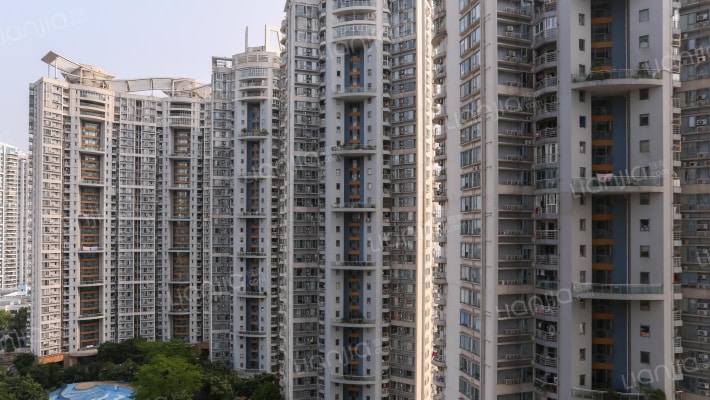 碧海红树园外景图