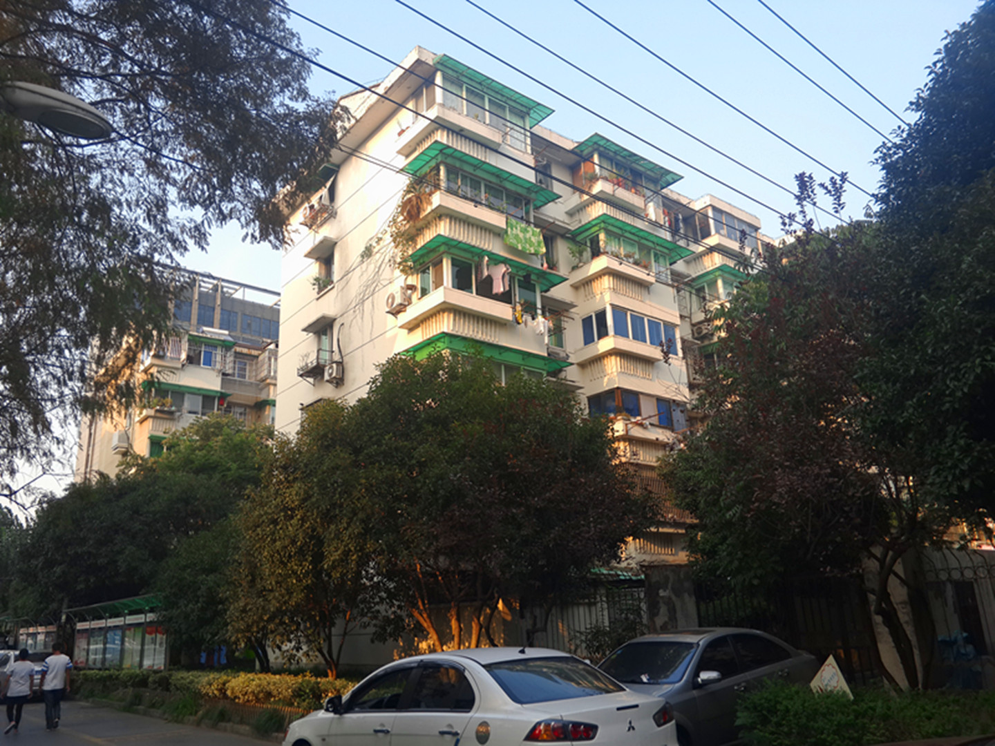古荡新村东区小区实景 11