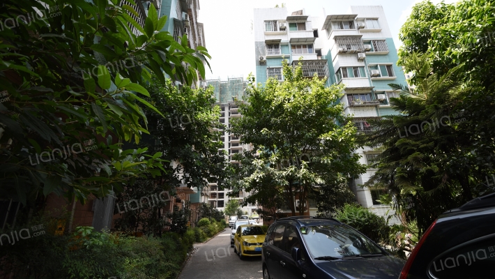 水木年华燕安庭外景图