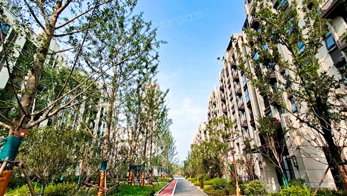 正商中州城玉兰园外景图