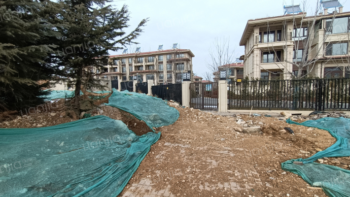 中南玖熙墅外景图