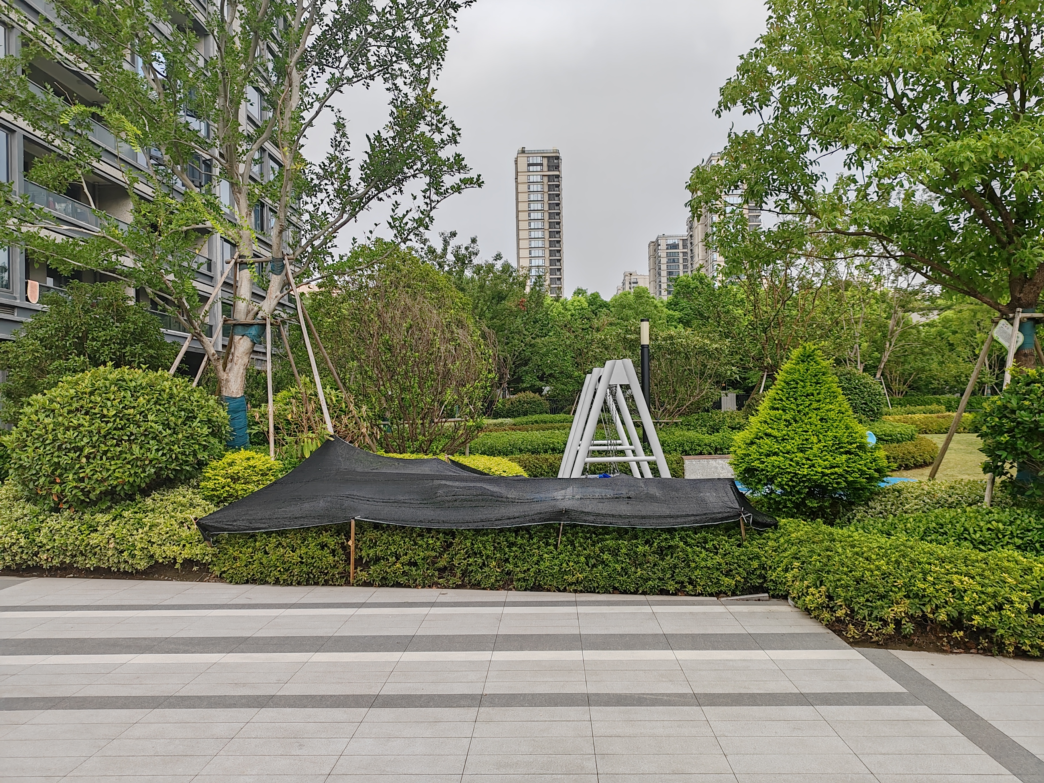 Aolin Meizhu compound photo 6