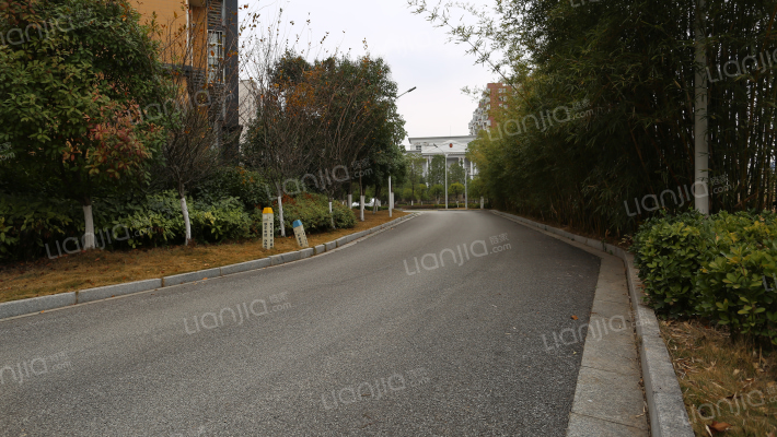 汉口湖畔洋房外景图