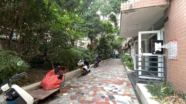 城南新贵外景图