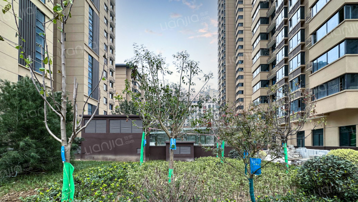 黄金·嘉境外景图