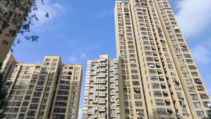 中央美域花园B区外景图