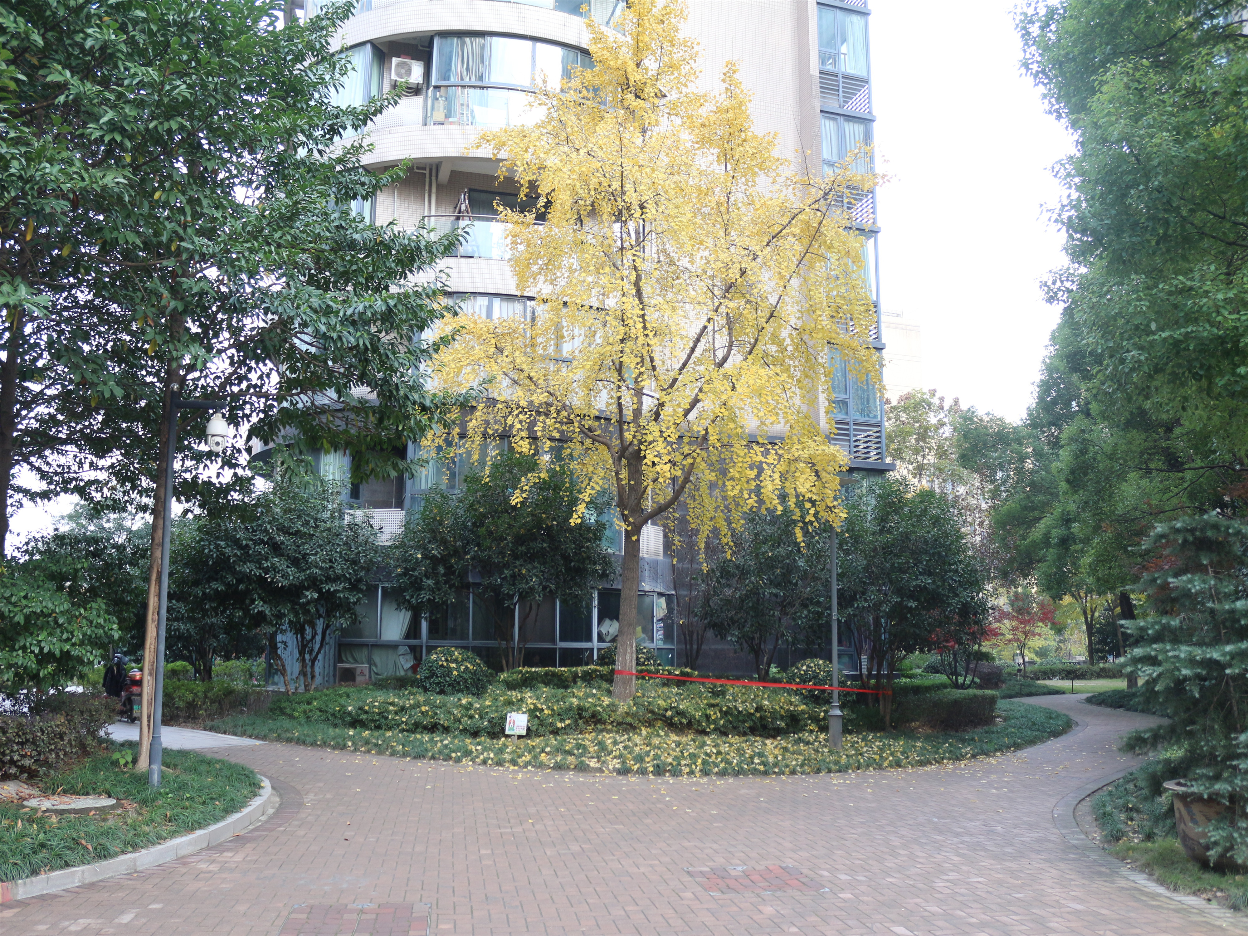 耀江文鼎苑 小区实景 14