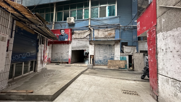 香狮路11号外景图