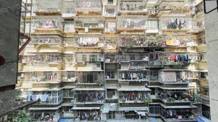 树兜新村外景图