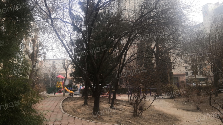 中乒公寓外景图