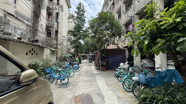 林荫街15号外景图