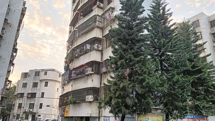 连桥路299号外景图