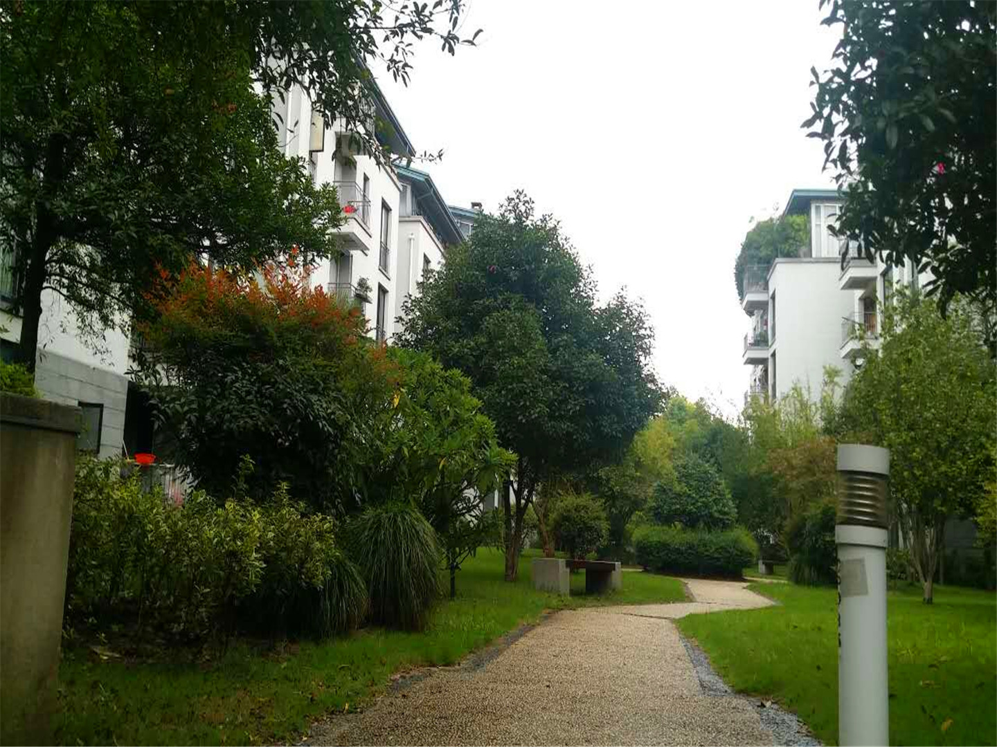 江滨花园小区实景 29