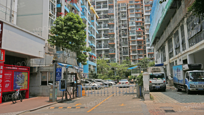 雷圳碧榕湾名苑外景图