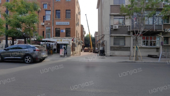 新华路(体育馆街)外景图