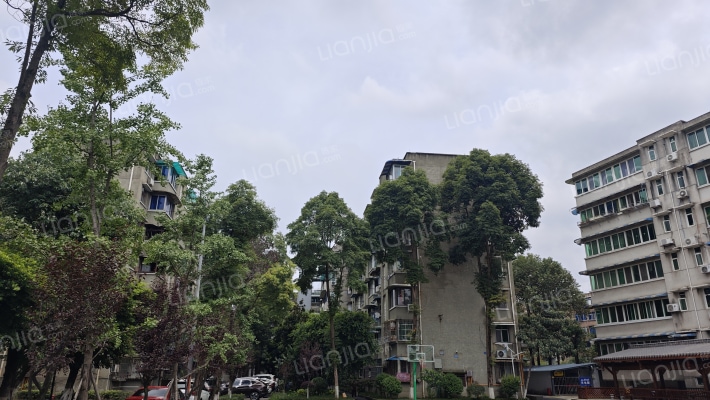 四川省地矿局区域地质调查队宿舍外景图