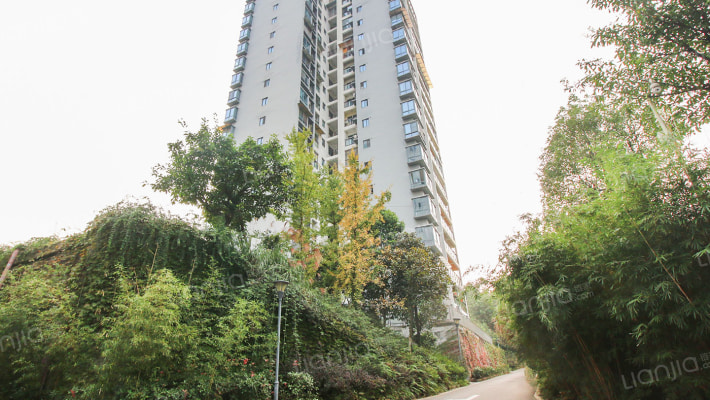 杏林雅苑外景图