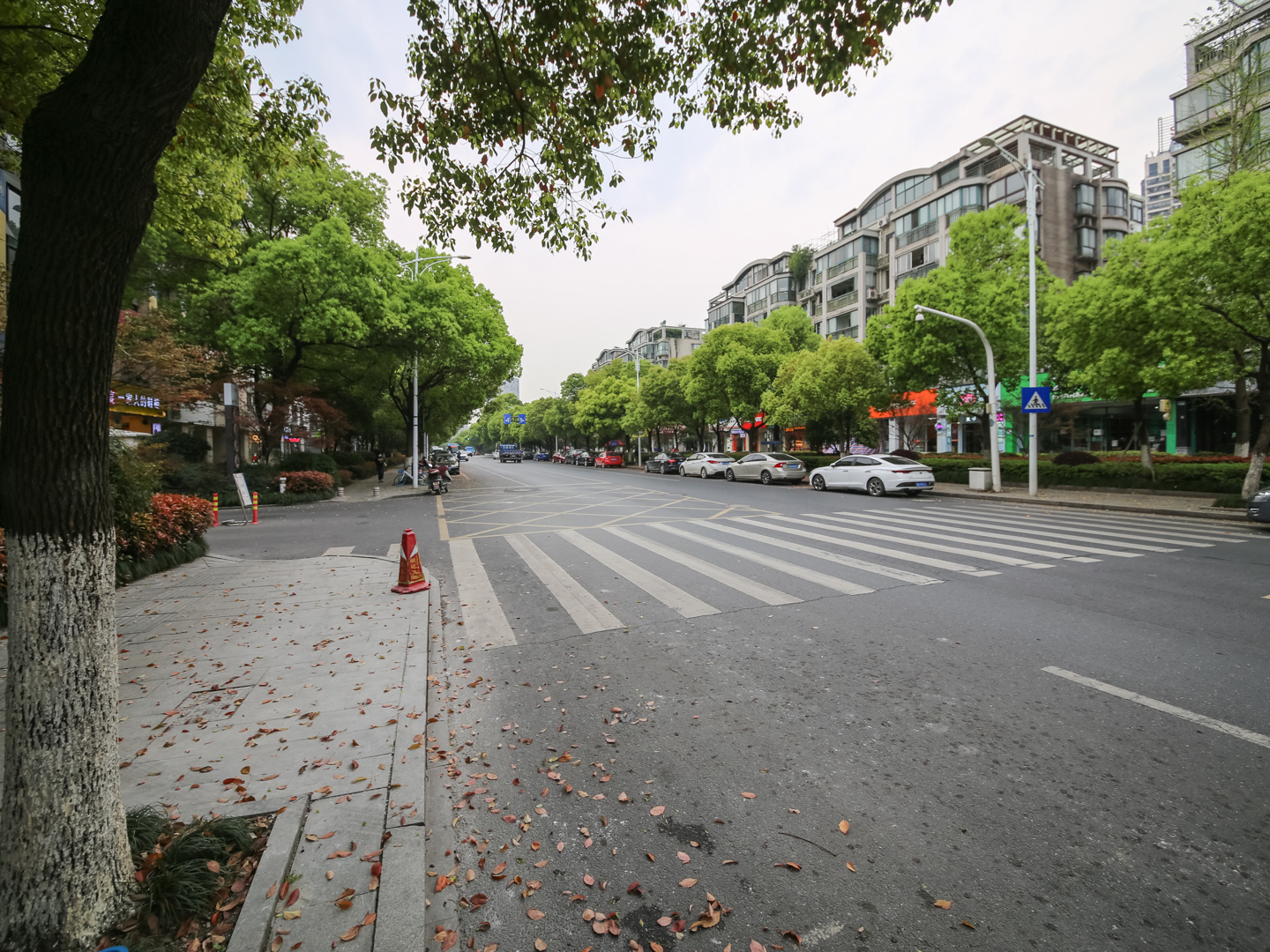 江滨花园小区实景 33
