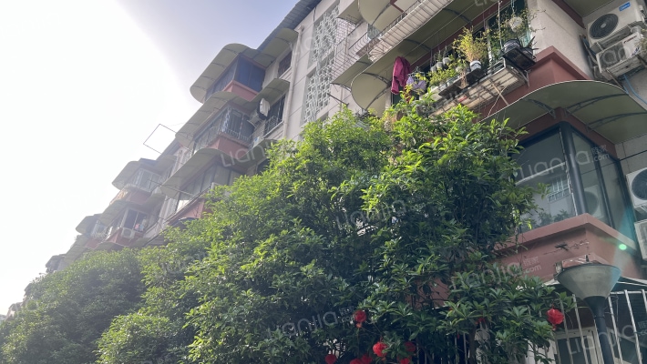 玉林横街16号外景图