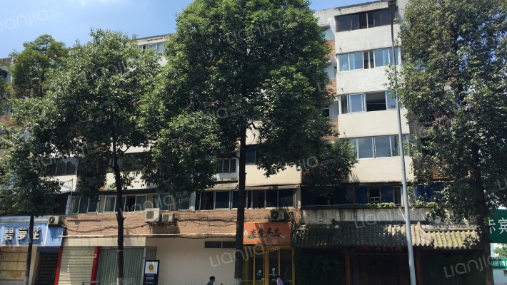 武侯祠大街11号外景图