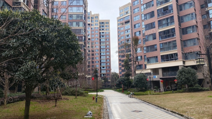 唐人街相府花园外景图