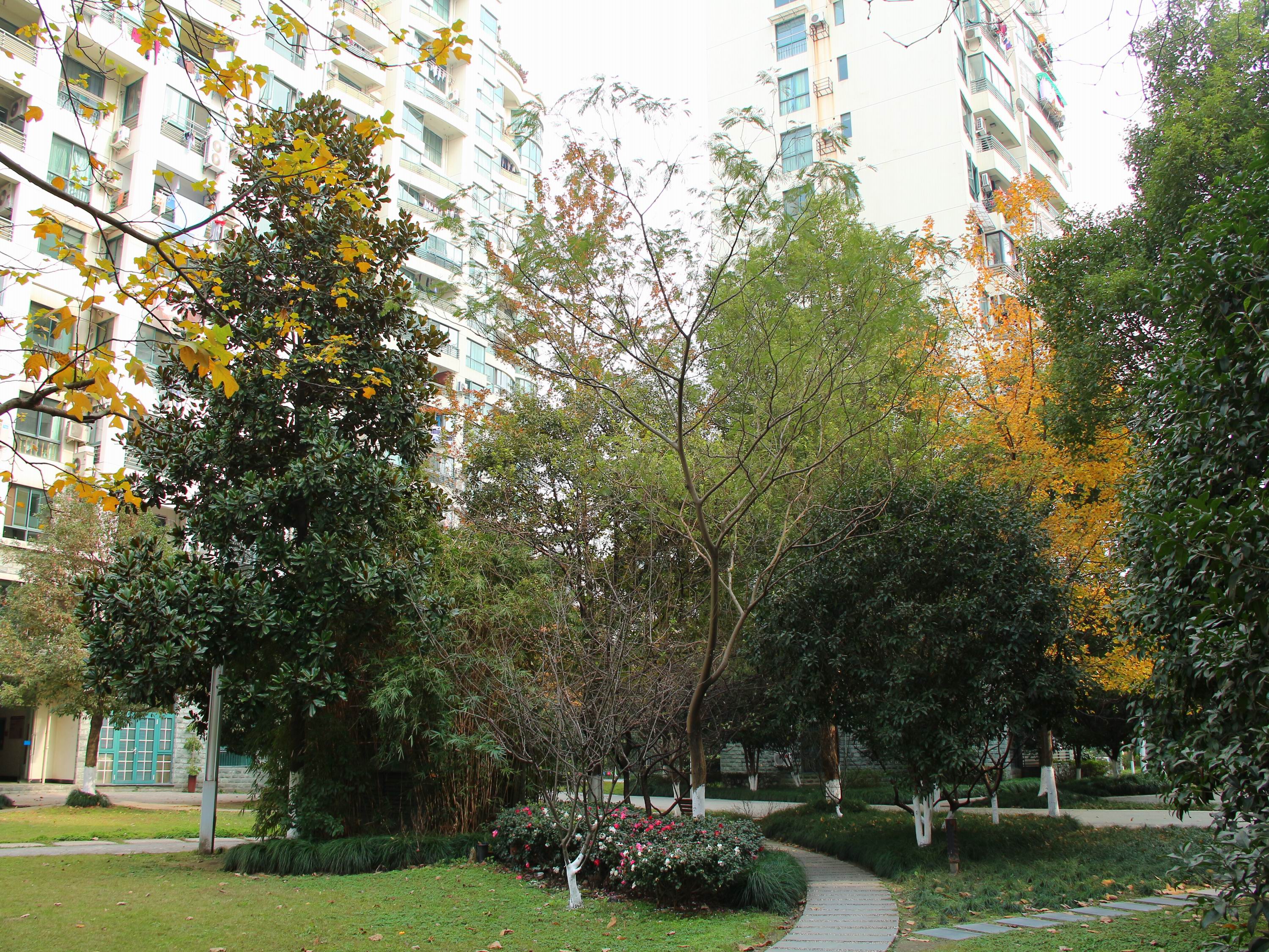 城市心境 小区实景 12