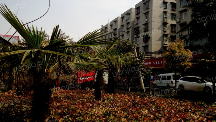 常青二垸外景图