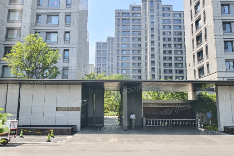 周边 足鉑金頸鍊| 09503N(70厘米/約2.053兩) | 周生生官方網上珠寶店