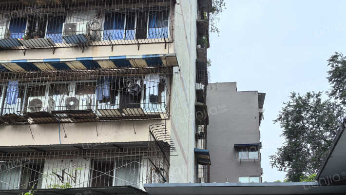 顺江路303号外景图