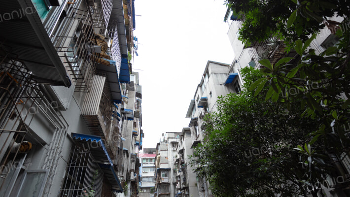 青华北二街34号外景图