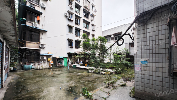 建新东路319号外景图