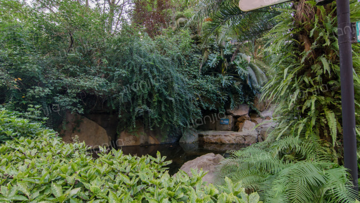 保利郁金香谷外景图