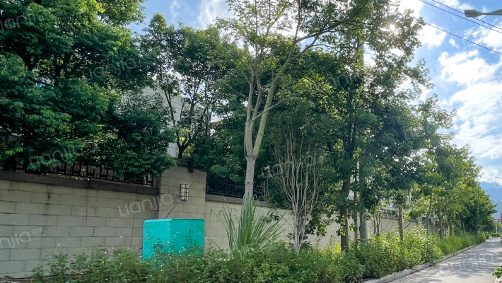 旗山大院外景图