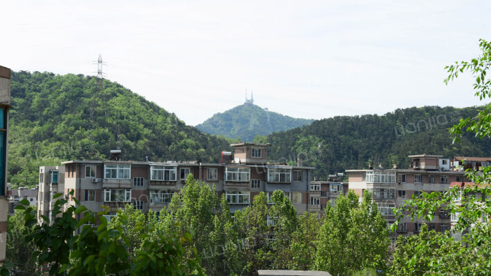 山庄南一街外景图