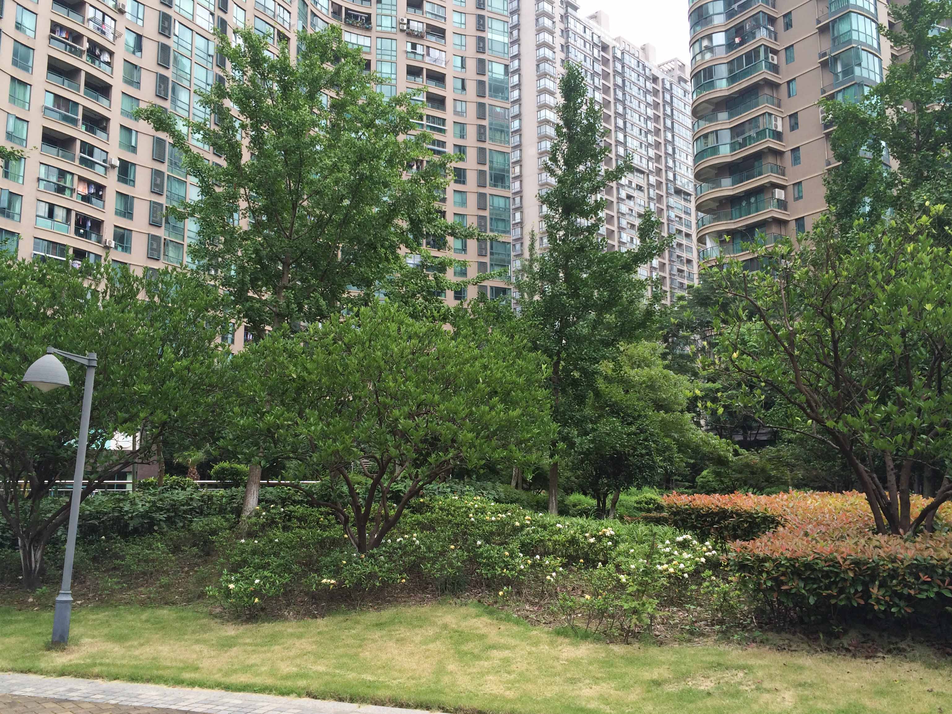 Chunjiang Shidai compound photo 5