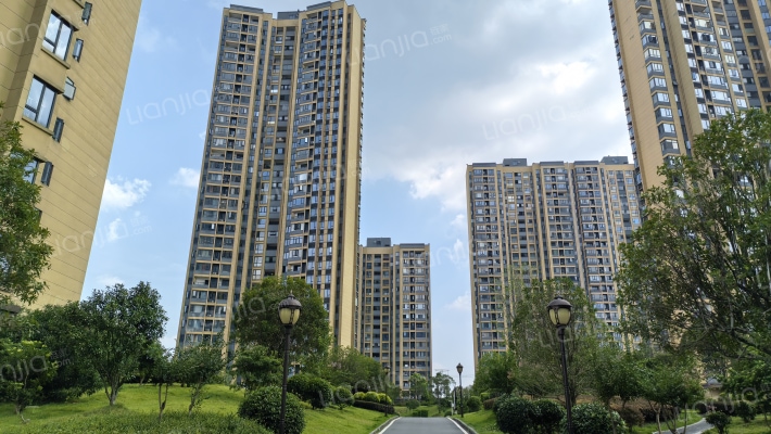 云栖国际外景图