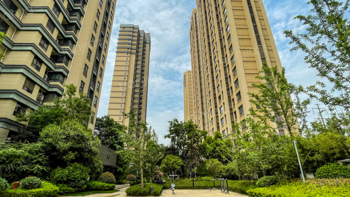 高科朗山外景图