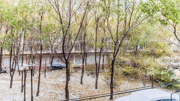 林科家园外景图