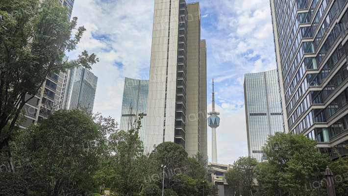 华润置地·悦玺外景图