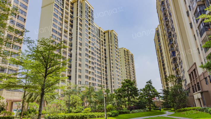 光明花半里二区外景图