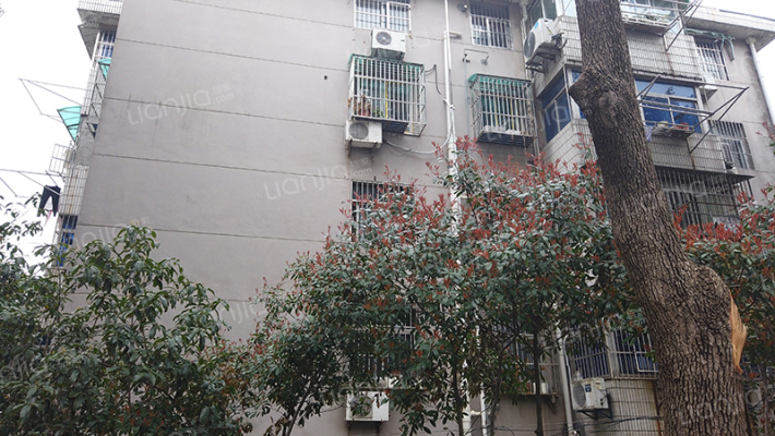 十字街131至132号外景图