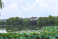 大树江小区户型图实景图