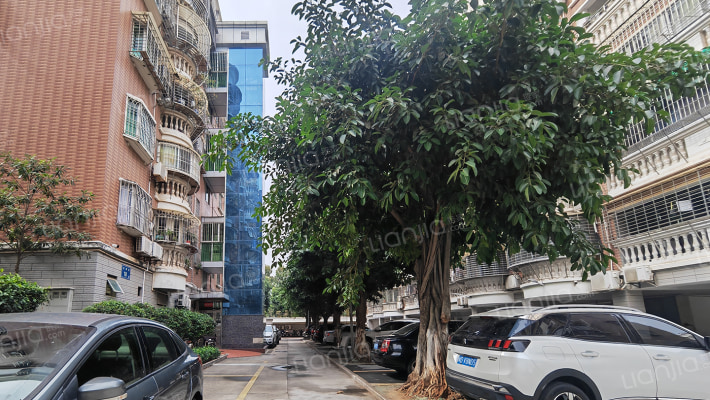 龙翔花园外景图